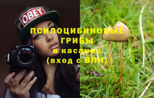 МДПВ Володарск
