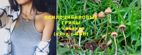 МДПВ Володарск