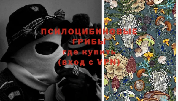 МДПВ Володарск